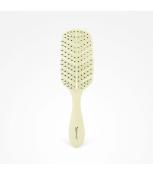 BROSSE BIODEGRADABLE 