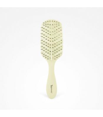 BROSSE BIODEGRADABLE 