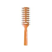 BROSSE SQUELETTE 