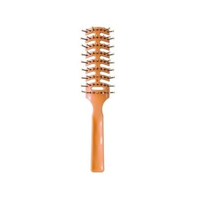 BROSSE SQUELETTE 